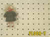 FLOOR-Y.jpg (11711 bytes)